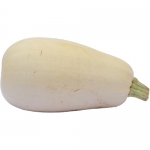 Lebanese White Bush von Christian G. (Samstag, 15. Oktober 2011